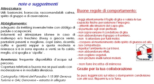 guardando le stelle