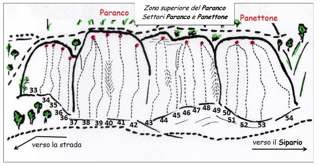 Paranco Panettone