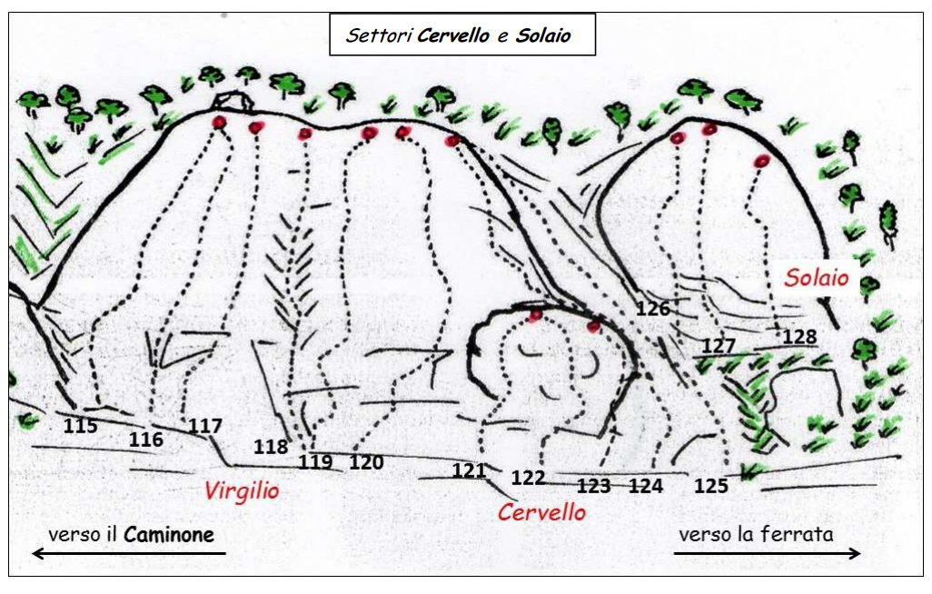 Cervello