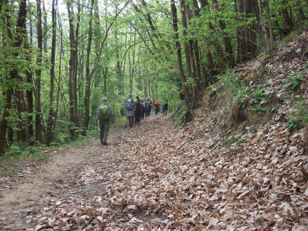 Verso Sant'Alberto