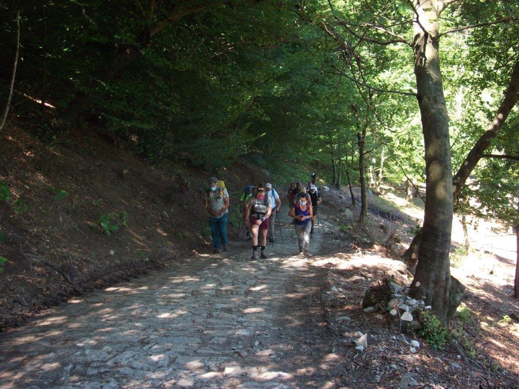 Inizia il cammino