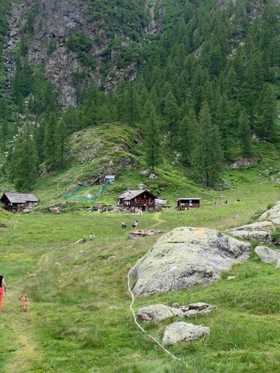 1 - Alpe Larecchio