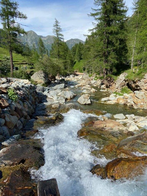 14 - Torrente Vogna
