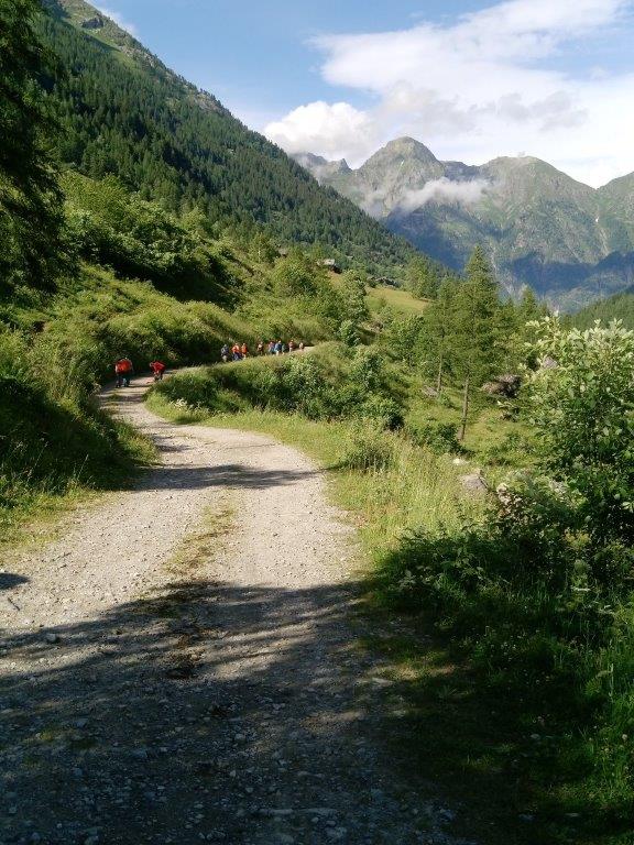 16 - Il ritorno