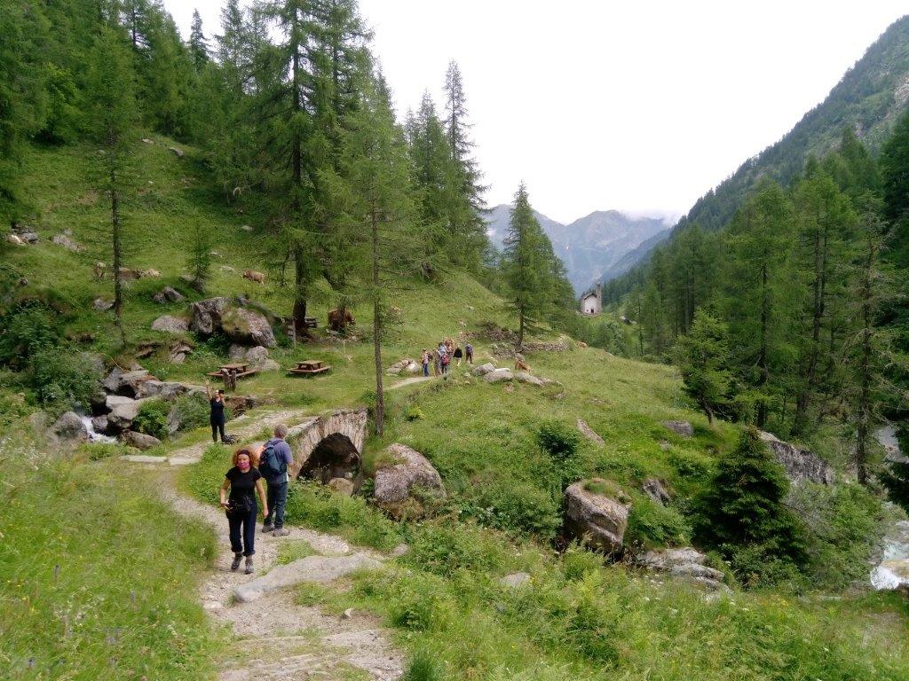 9 - Attraverso i pascoli