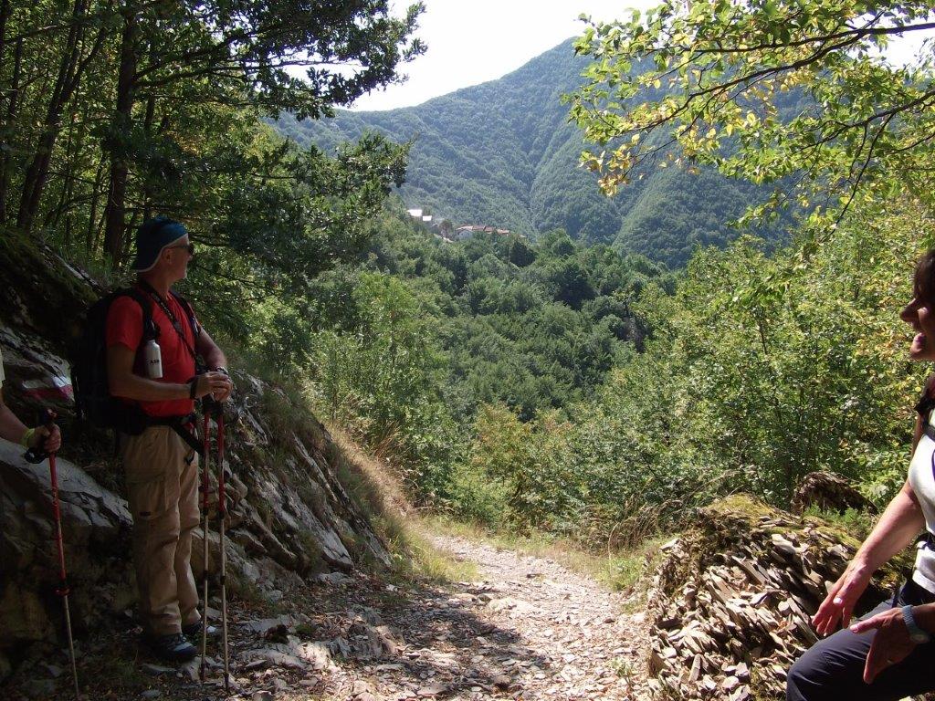 11 - In vista di Pizzonero