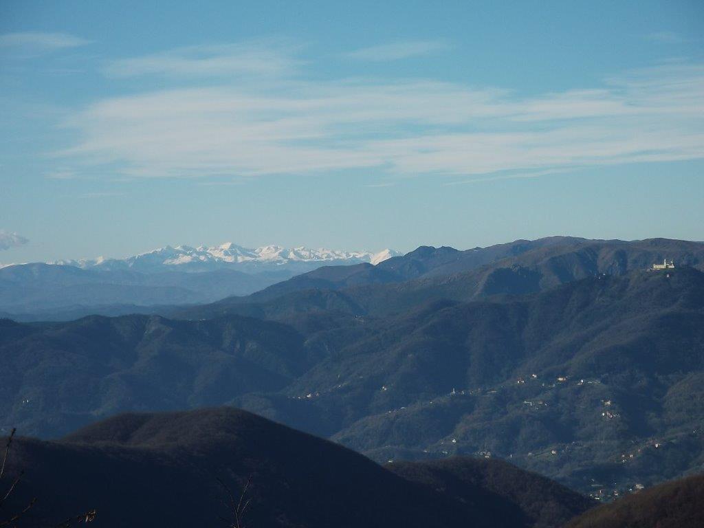 DSCF1324