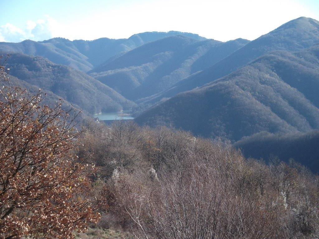 DSCF1327