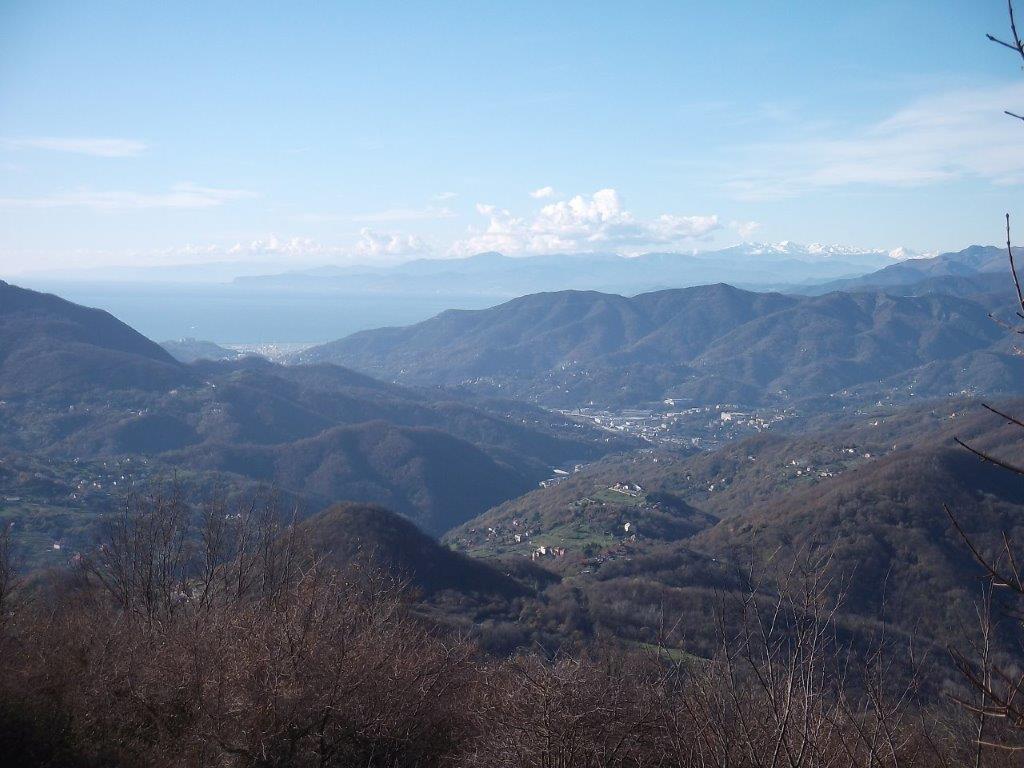 DSCF1329