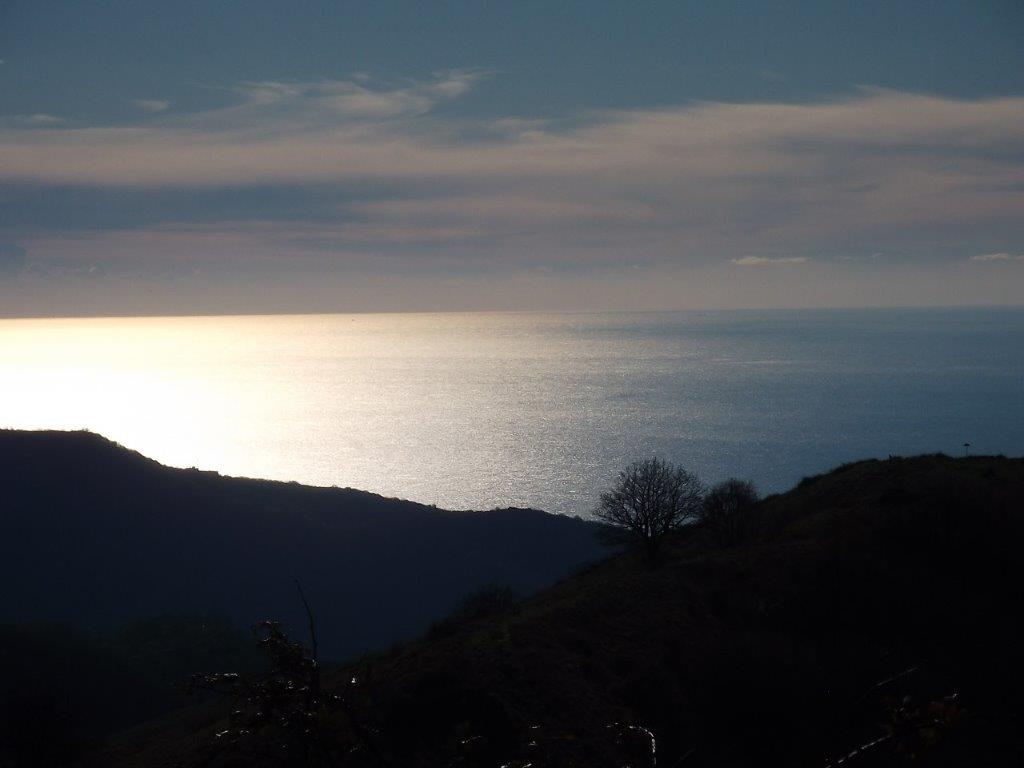 DSCF1340