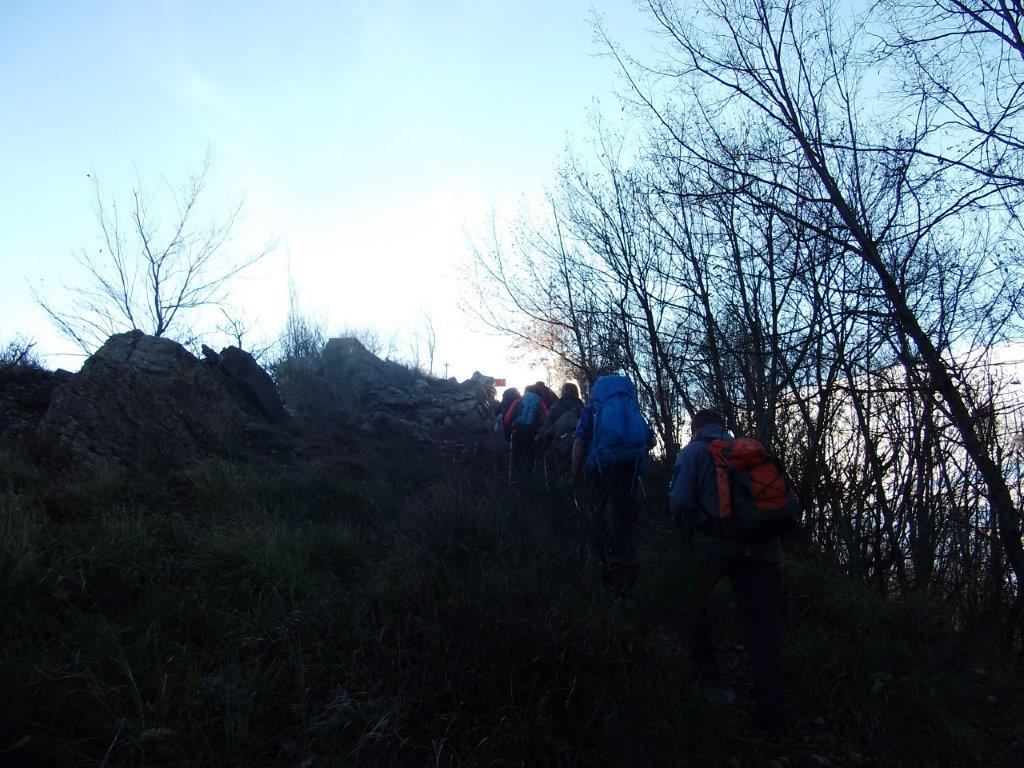 DSCF1346
