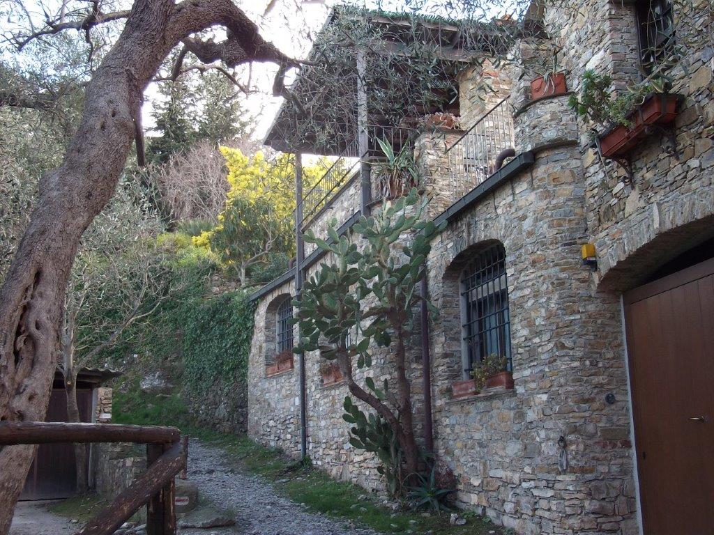 24-Colla Micheri
