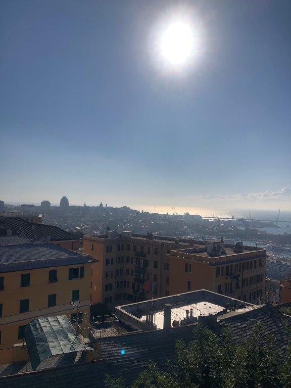 GENOVA 11