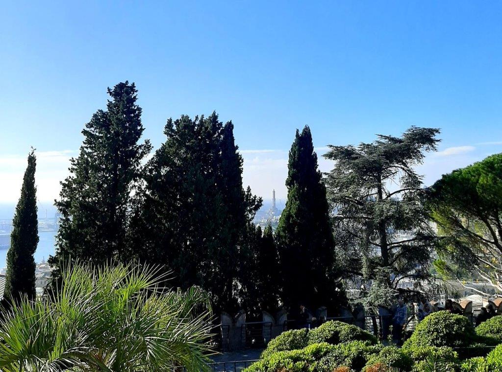 GENOVA 12