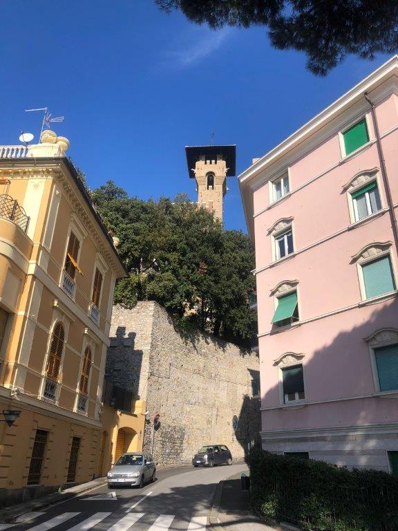 GENOVA 7