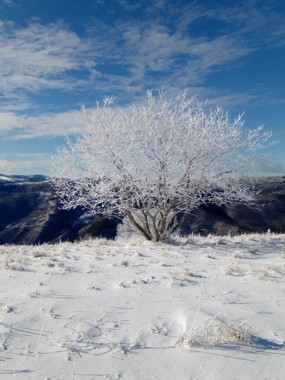 Cima Colletta