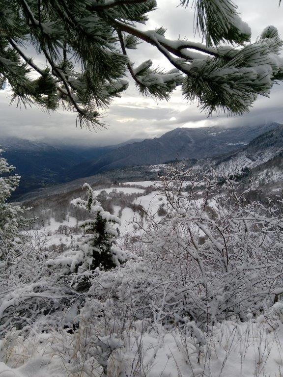 Zona Brallo di Pregola